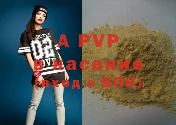ECSTASY Алзамай