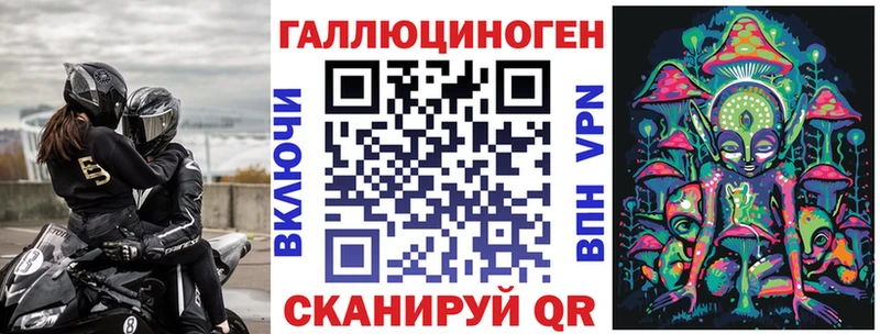 Псилоцибиновые грибы Psilocybe  что такое   Кириши 
